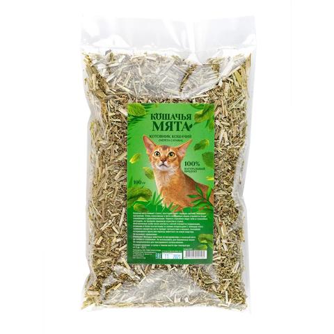 Кошачья мята 100г
