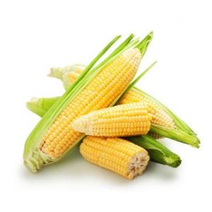 Кукуруза в початках 1кг свежая