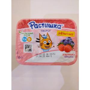 Творожок РАСТИШКА земляника-черника 110г